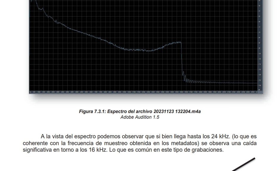 Cadencia de la imagen del audio de Koldo García y Santos Cerdán