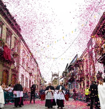 Las Fiestas del Pino de Teror, el corazón espiritual y cultural de [...]