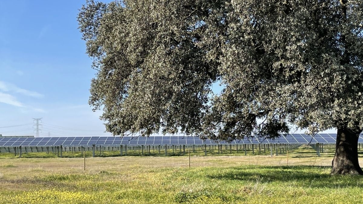 La energía solar española logró recudir la emisión de 17,7 millones de toneladas de CO2 en 2024