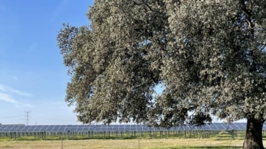 La energía solar española logró recudir la emisión de 17,7 millones de toneladas de CO2 en 2024