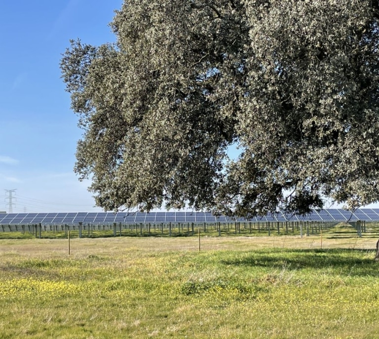 La energía solar española logró recudir la emisión de 17,7 millones de toneladas de CO2 en 2024