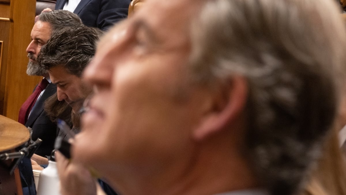 Los presidentes de Vox, Santiago Abascal, y del PP, Alberto Núñez Feijóo (primer plano), en sus escaños del Congreso