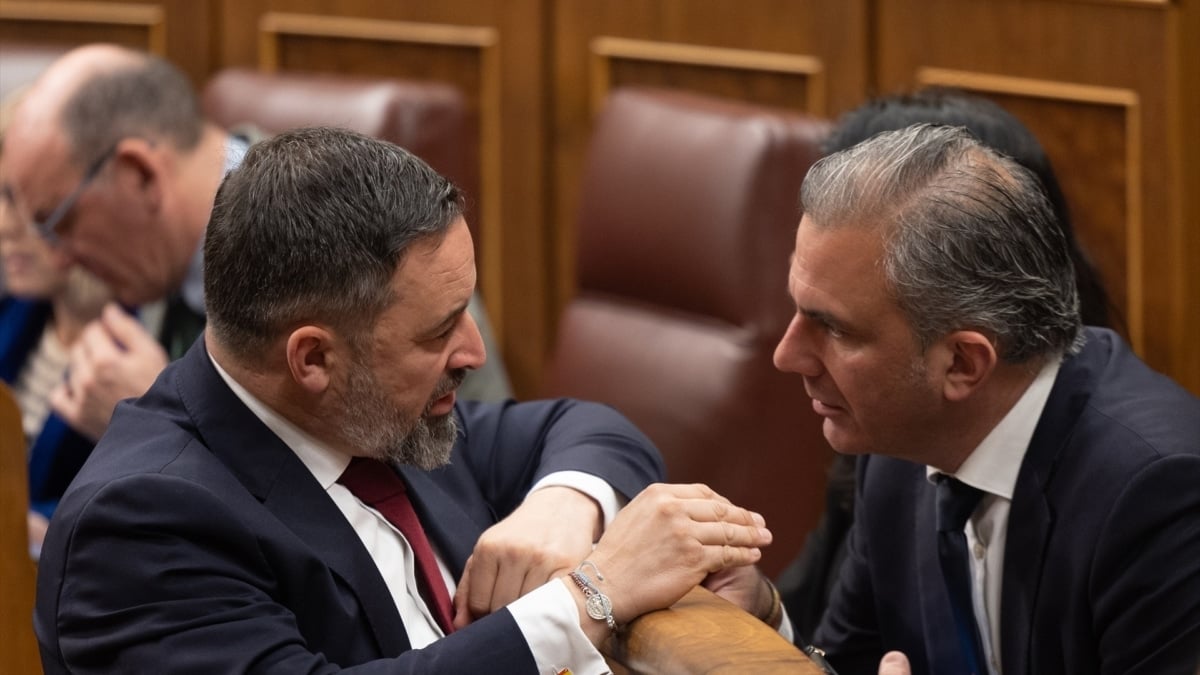 El presidente de Vox, Santiago Abascal, y el diputado y líder del partido en el Ayuntamiento de Madrid, Javier Ortega Smith, durante un pleno a finales de 2024