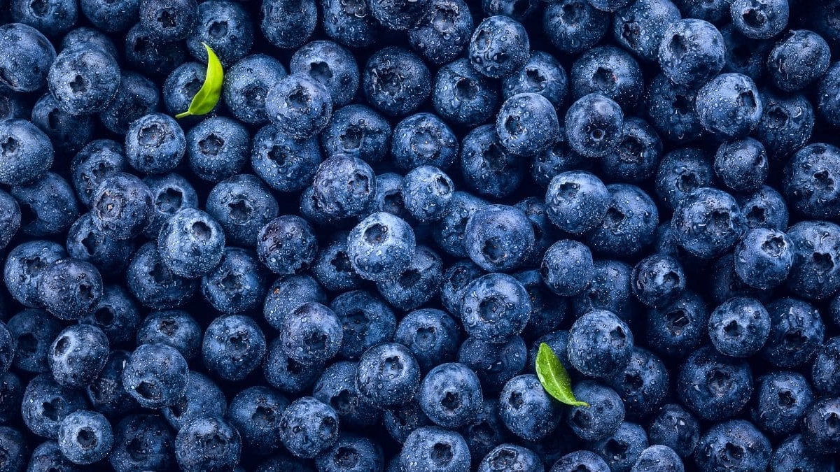 Arándanos congelados