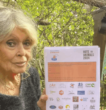 Brigitte Bardot, hospitalizada por una "enfermedad grave"