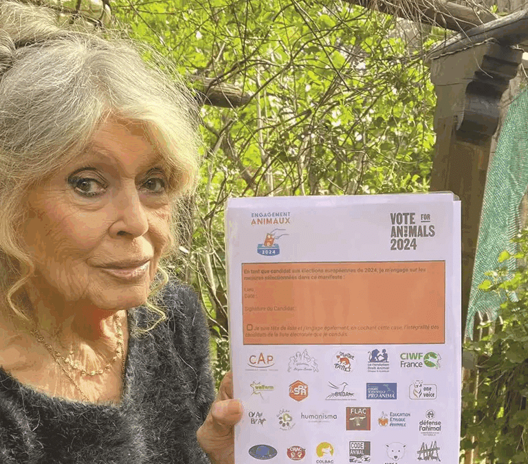 Brigitte Bardot, hospitalizada por una "enfermedad grave"