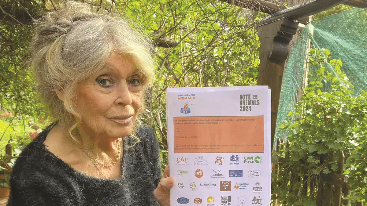 Brigitte Bardot, hospitalizada por una "enfermedad grave"