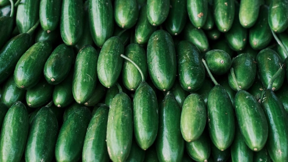 Beneficios salud pepinos