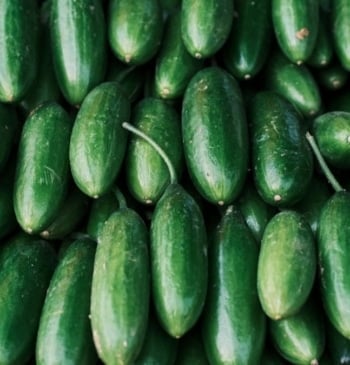 Los beneficios para la salud de comer pepino de forma habitual