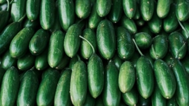 Los beneficios para la salud de comer pepino de forma habitual