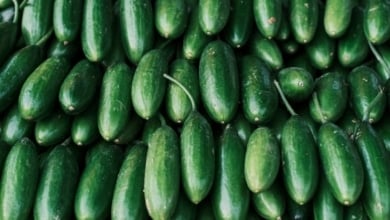 Los beneficios para la salud de comer pepino de forma habitual