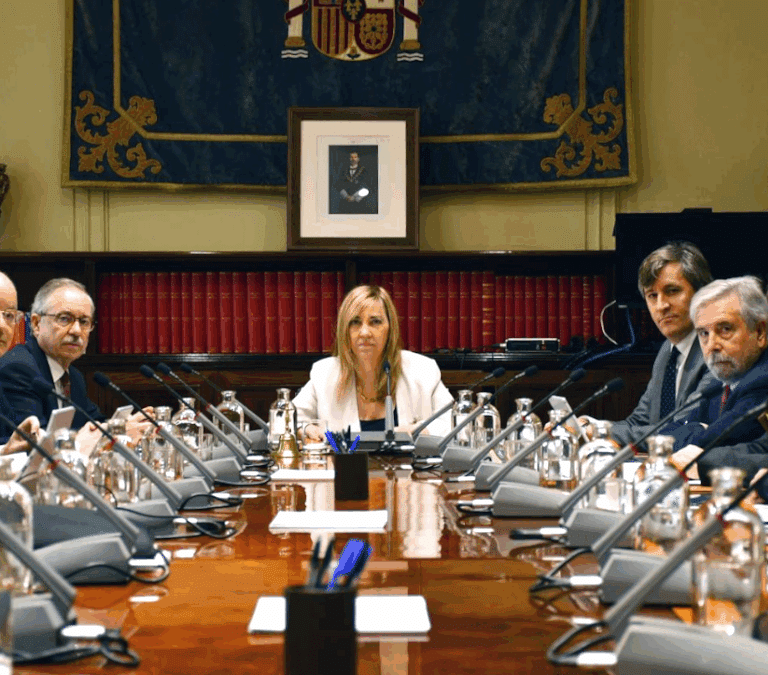 La sociedad civil puede rescatar la independencia judicial y hacer España mejor