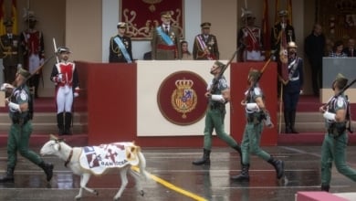 Siga en directo el desfile del 12 de Octubre en Madrid