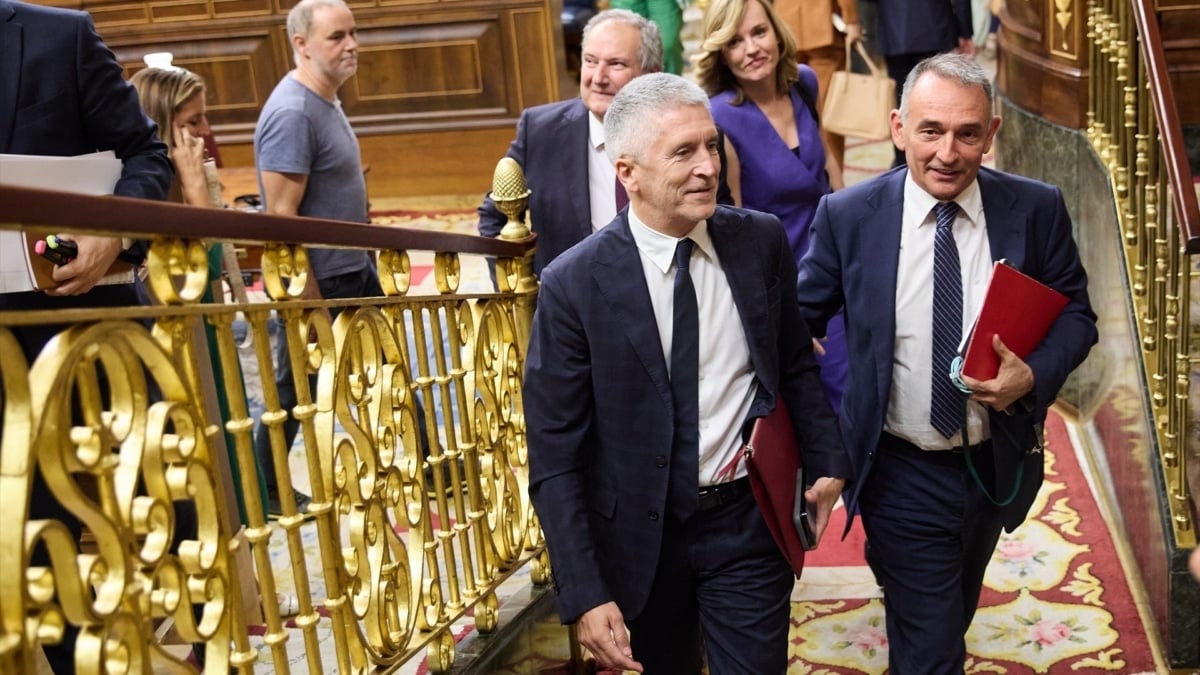 El ministro del Interior, Fernando Grande-Marlaska (i) y el portavoz de IU, Enrique Santiago, a la salida de un pleno del Congreso