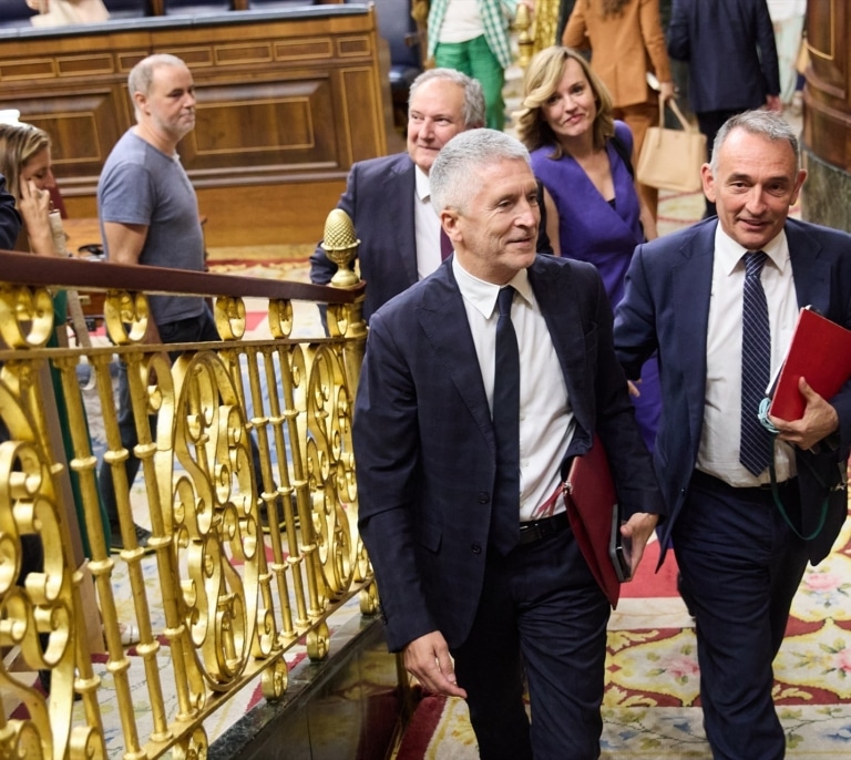 IU reclama al Gobierno la ilegalización de la organización neonazi Núcleo Nacional