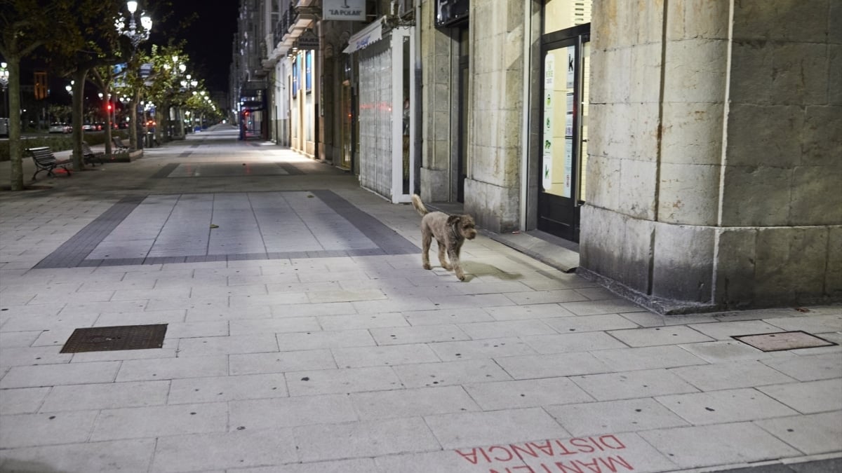 Paseo Pereda, Santander