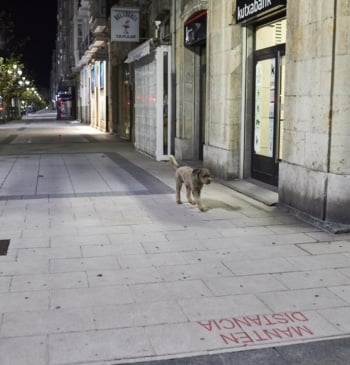 Fin de semana de denuncias en Santander: 43 personas por botellón y [...]