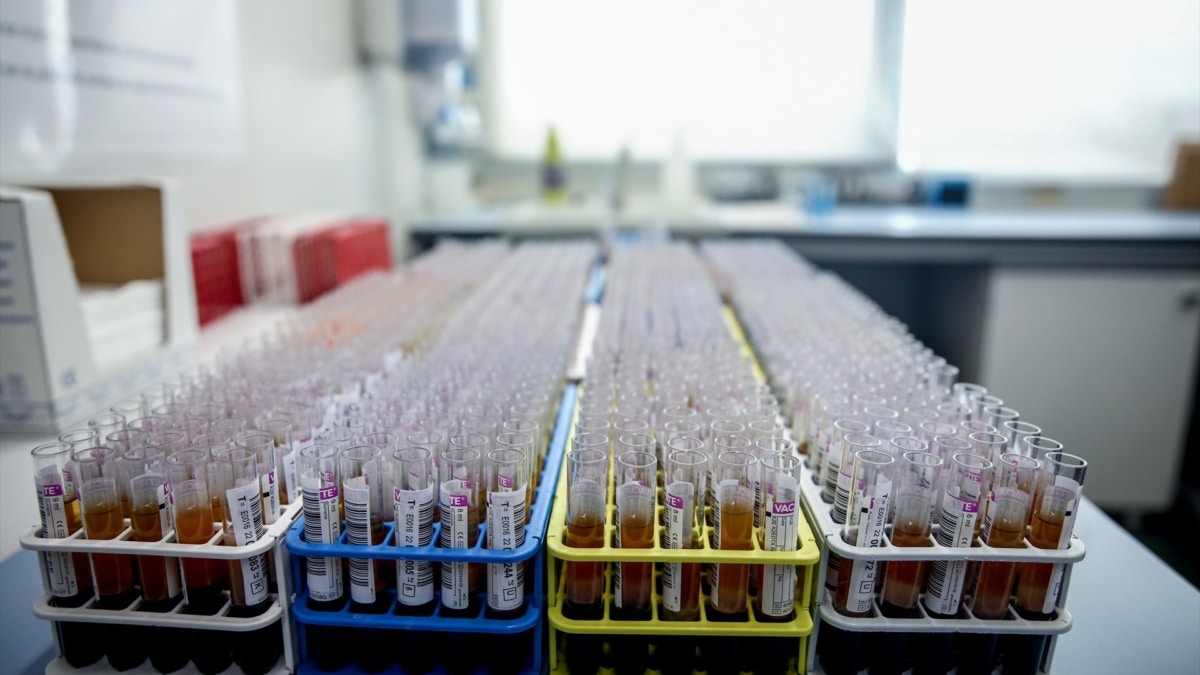 Tubos de sangre en laboratorio