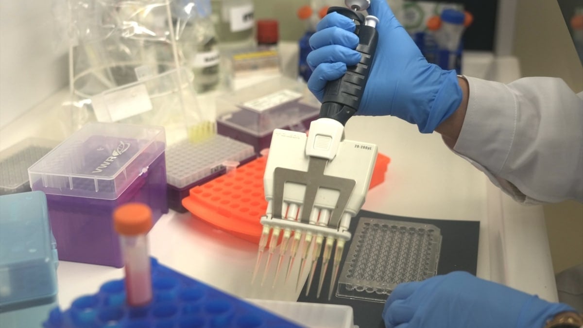 Un nuevo fármaco mejora la respuesta al tratamiento en cáncer de mama precoz de alto riesgo