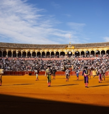 "La tauromaquia no tiene ideología": así rebatirá el PP la embestida 'anti' [...]