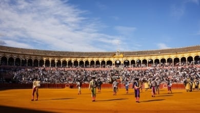 "La tauromaquia no tiene ideología": así rebatirá el PP la embestida 'anti' en el Congreso