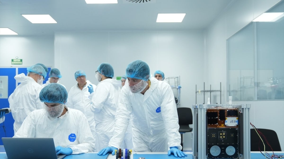 Logran el primer trasplante en cerdos de riñones modificados con organoides humanos