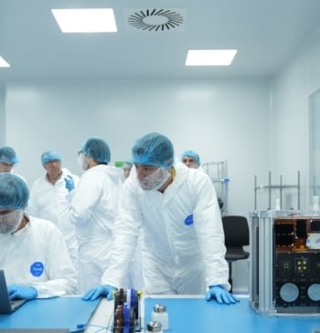 Logran el primer trasplante en cerdos de riñones modificados con organoides humanos