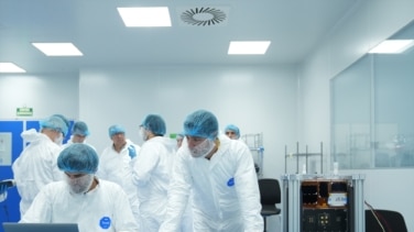 Logran el primer trasplante en cerdos de riñones modificados con organoides humanos