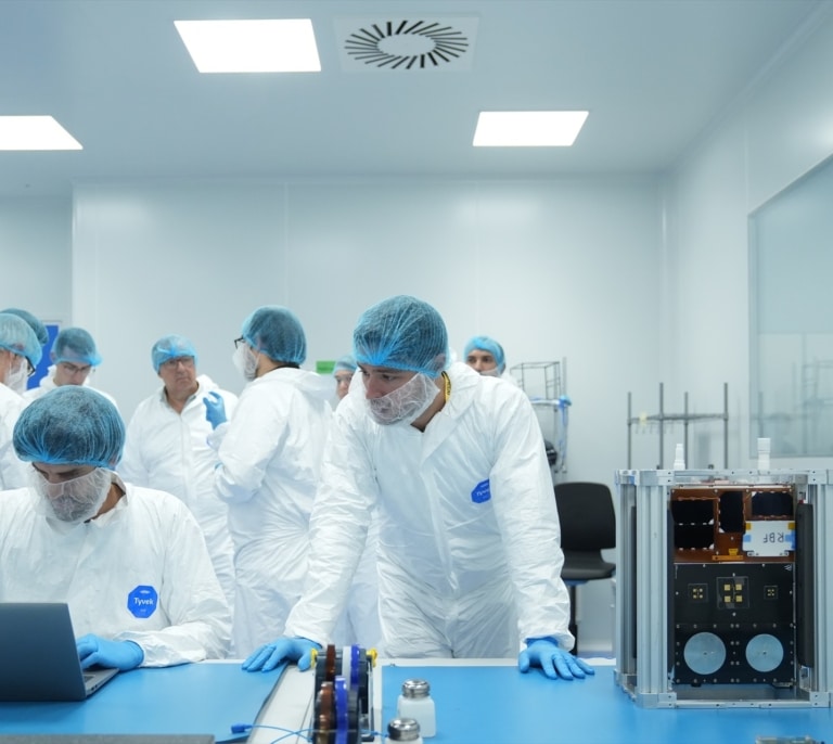 Logran el primer trasplante en cerdos de riñones modificados con organoides humanos