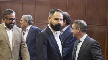 El exgerente del PSOE evita declarar en el Senado sobre el 'caso Koldo' al estar citado como testigo en el Supremo