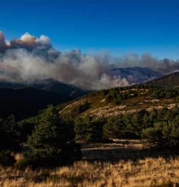 Fuego en Peñalba: Posible control total este miércoles sin rebrotes