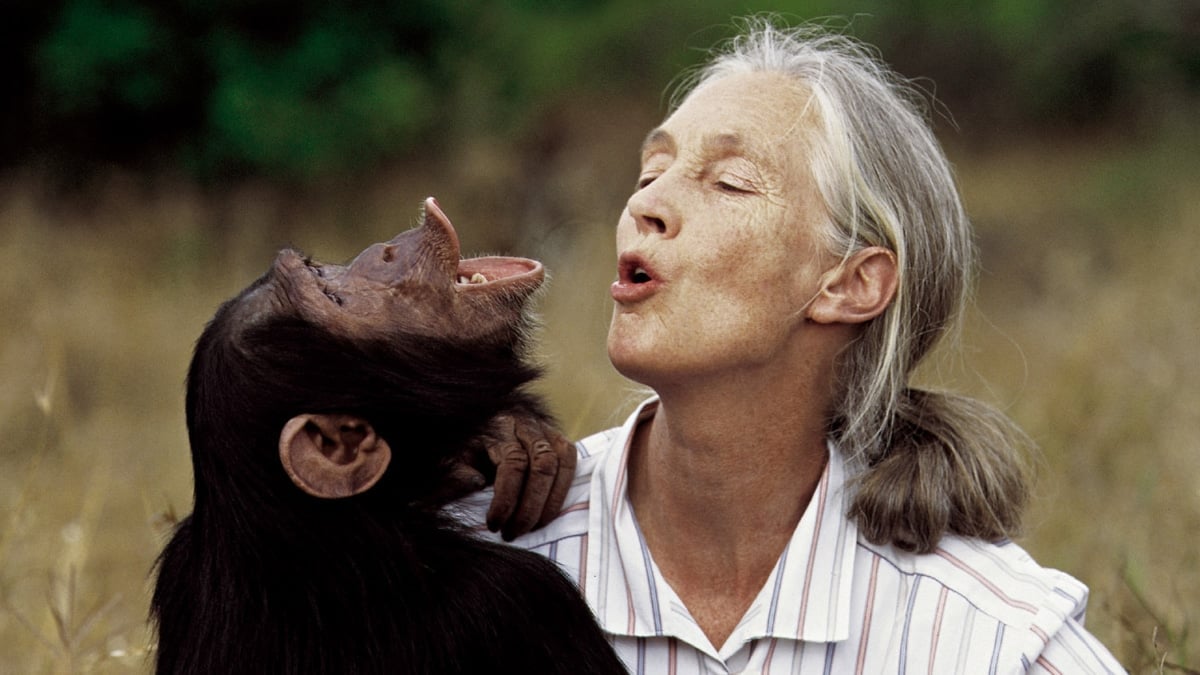 Muere la etóloga británica Jane Goodall a los 91 años