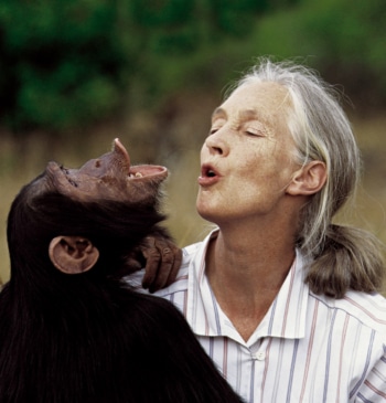 Muere la etóloga británica Jane Goodall a los 91 años