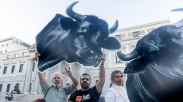 La abstención del PSOE impide que el Congreso tramite la ILP para eliminar la protección cultural de la tauromaquia