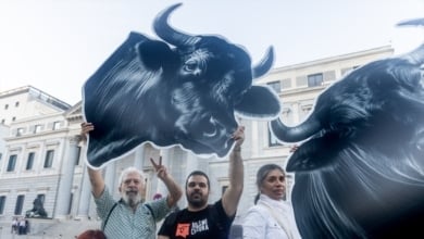 La abstención del PSOE impide que el Congreso tramite la ILP para eliminar la protección cultural de la tauromaquia