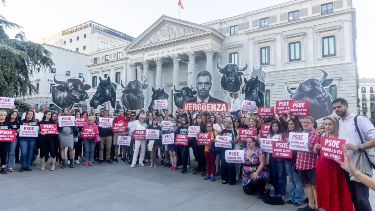 Los firmantes de la ILP 'No es mi cultura', ante el Congreso.