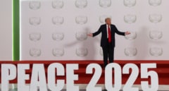 Ucrania, próximo objetivo en el plan 'pacificador' de Donald Trump: pros y contras