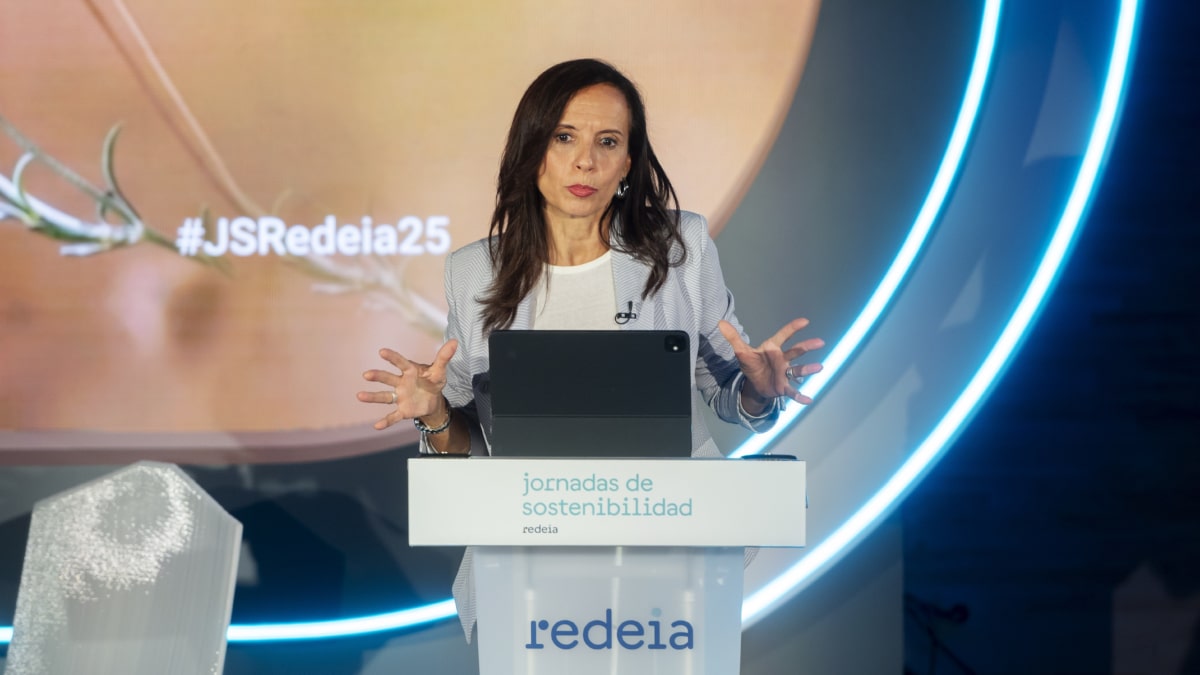 Corredor cifra en 371 millones el coste del refuerzo del sistema eléctrico adoptado tras el apagón