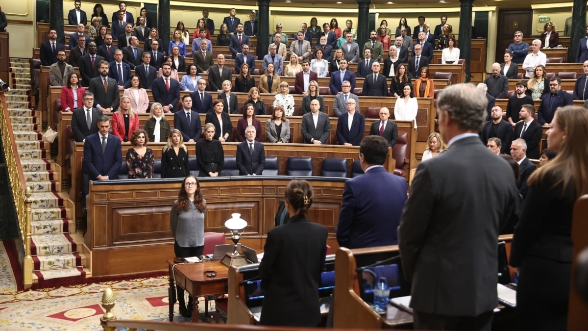 El Congreso guarda un minuto de silencio por las víctimas de la dana, este 29 de octubre de 2025.