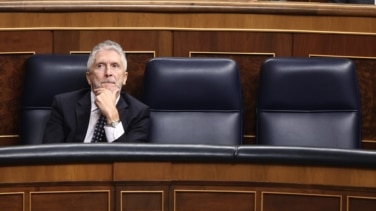 Marlaska se posiciona junto a Bildu sobre la "preocupación" por una condena policial de Europa