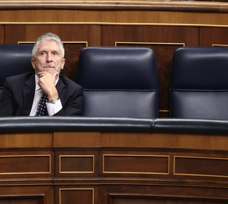 Marlaska se posiciona junto a Bildu sobre la "preocupación" por una condena policial de Europa