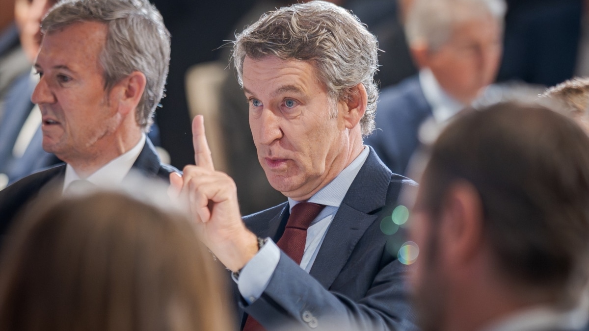 El presidente del PP, Alberto Núñez Feijóo
