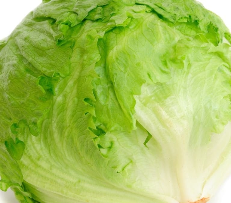 Estos es lo que le pasa a tu cuerpo si comes lechuga todos los días
