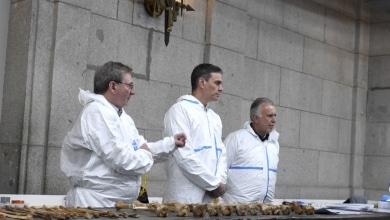 Solo 70 de los 9.000 cuerpos exhumados de fosas comunes de la Guerra Civil han sido identificados: "Es incomprensible"