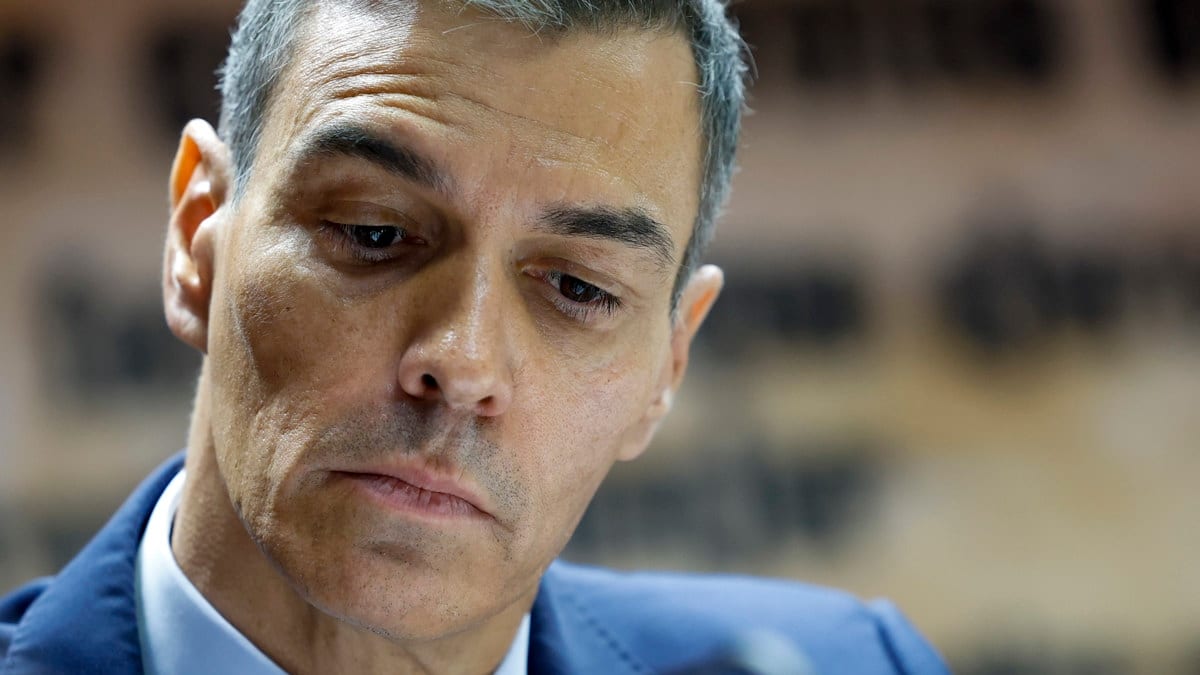 El presidente del Gobierno, Pedro Sánchez, en el Senado