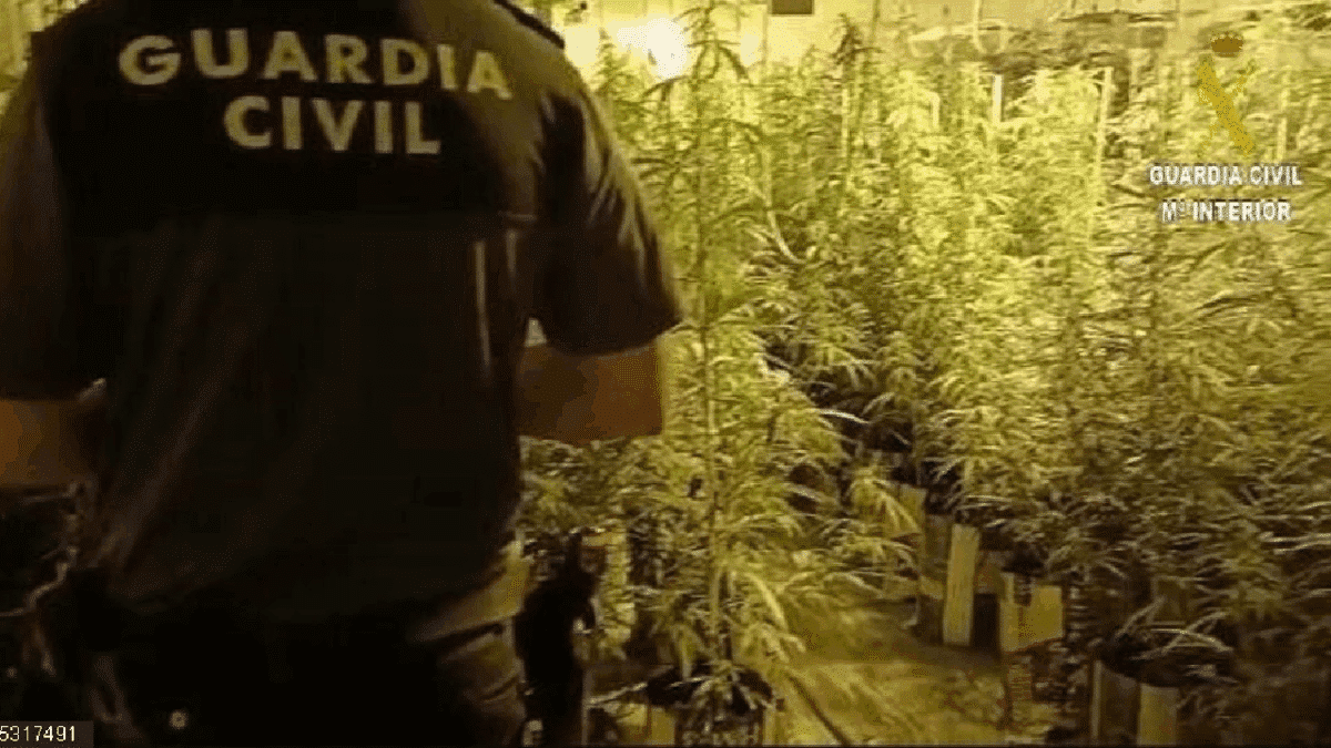 Guardia Civil