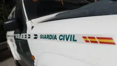Detenidos por intentar robar cien kilos de uva en Monforte del Cid