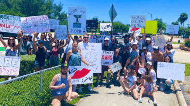 La venganza de la orca Lolita: cierra el parque marino donde malvivió 53 años