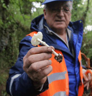 ¿Cuándo habrá setas? La sequía retrasa la campaña de otoño
