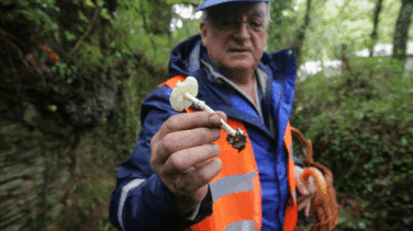¿Cuándo habrá setas? La sequía retrasa la campaña de otoño
